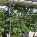 유천농장 | 인천카페 유천커피농장 식물원카페 아이랑 가기좋은곳 힐링카페 방문기