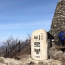 치악산 사슴농장 | 2021년의 등산 기록을 돌아보다.