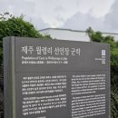 월령리(월령포구) 이미지