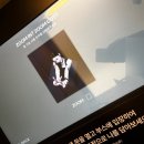 돈룩업동성로