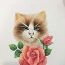 은평제일미술학원 | 은평구 성인미술학원｜고양이 수채화 작품 후기｜구파발 취미미술