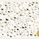 FAMILY DOG 이미지