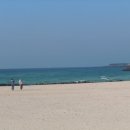 제주도 북서부 네이버블로그