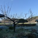 영천 귀애정 이미지