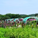 향기정원 이미지