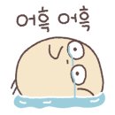도나벨라샵