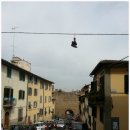 이탈리아 여행기(넷째 날, 피렌체) 이미지