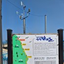 썬크루즈 | 정동진 오션뷰 숙소 썬크루즈 비치크루즈 호텔 내돈내산 대만족 후기