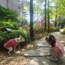 양주시청감동어린이집 | 육아 일상 주저리(튤립축제, 공원나들이, 과일쥬스, 꽃밭에서 만난 오빠, 치실, 호수공원 꽃축제...
