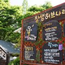 참샘 티스토리