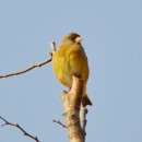 은평역사한옥박물관 이미지