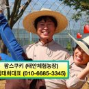 김태희의팜스쿠키 이미지