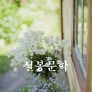 이흥우「난」 이미지