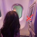 유럽의 시간을 걷다 | [공지] 아이와 친정엄마와 하나투어 동유럽 210만원대 패키지 후기(티웨이·식사·숙소·자유시간)