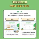 소티천 이미지