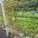 내서읍700 이미지