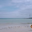 유민미술관 이미지