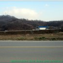 덕고개주유소 Daum카페