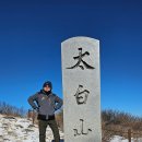 (주)눈꽃참한우포크 | 태백산 겨울 산행, 눈꽃 없어 아쉽다~! (feat.제천 카우보이그릴)