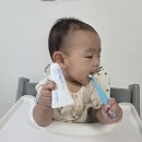 메디키즈 | 아기 양치템, 아기 무불소치약 닥터메디 닥트러스트 프로엔프리 키즈 치약 &amp; 닥스메디 키즈 칫솔 사용 후기