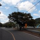 봉황대운동장 이미지