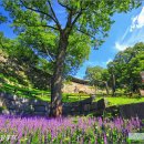 성남시청 모란관 이미지