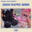 감정선프로젝트 홍대점