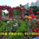 부동산911공인중개사사무소 이미지