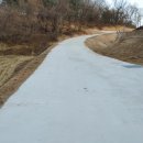 내기농장 | 귀농인 산나물 농장과 터골로 마을로 들어오는 신규 진입 도로 건설 후기