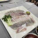대하프라자 수협 앞 | 민어회 맛집 대하맛집 어촌식당 후기
