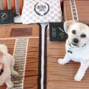 리치동물병원 이미지