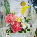에코자인 이미지