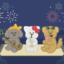 아라동물병원 이미지