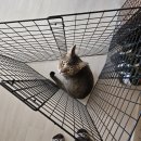 백점한의원 | [2월 일상] 나도 안궁금해 노잼라이프