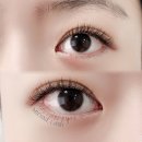 미엔느래쉬 이미지