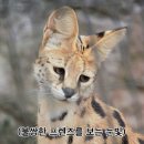 동은정공 이미지