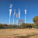 《老年 운동의 대세는 파크골프》 - 이정원/영등포 (스카이) 이미지