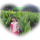 우리농산 이미지