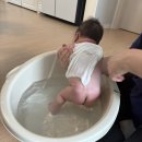 [공지] [울산] 울산 산후도우미 사임당 후기 (정말 추천..대대만족)