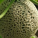 길만농장 이미지