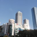 서면유림노르웨이아침 이미지