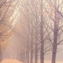 정서연 카카오 검색결과