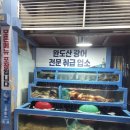 오징어 세상 이미지