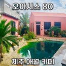 세븐일레븐제주애월리점 | 제주 애월 이동건 카페 오아시스 80 감성 가득한 공간 다녀온 솔직한 후기