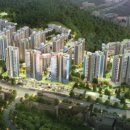 포레스트541 이미지