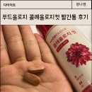 제라보쌈 | 푸드올로지 콜레올로지컷 빨간통 내돈내산 솔직후기 난 모르겠음,,