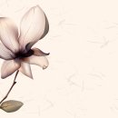 안의꽃사랑 이미지