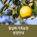영기농장 네이버블로그