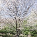 오유엔(oun)