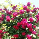 행복출발 이미지